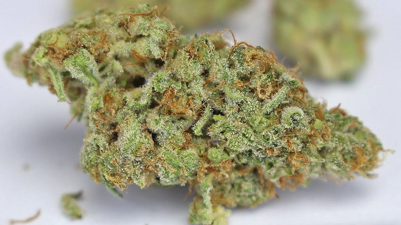 Alien Orange Cookies â Clone Delivery Services Santa Rosa
